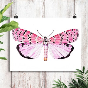 May include: Watercolor painting of a pink and black butterfly with white and pink wings. The butterfly is on a white background.