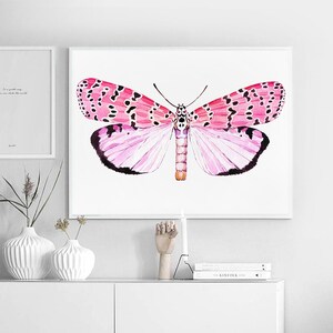 May include: A watercolor painting of a pink and black butterfly with white and pink accents. The butterfly is centered on a white background.