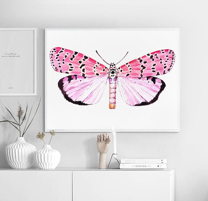 May include: A watercolor painting of a pink and black butterfly with white and pink accents. The butterfly is centered on a white background.