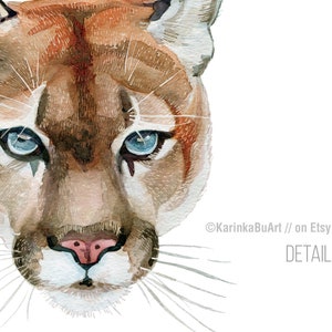 May include: Close-up of a watercolor painting of a cougar's face. The cougar has blue eyes and a pink nose. The painting is done in a realistic style.