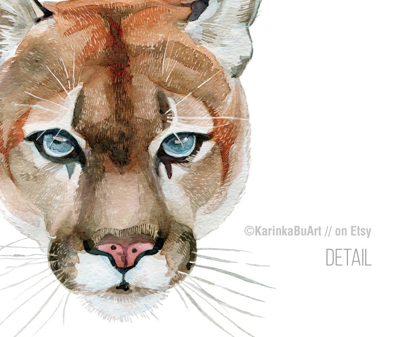 May include: Close-up of a watercolor painting of a cougar's face. The cougar has blue eyes and a pink nose. The painting is done in a realistic style.