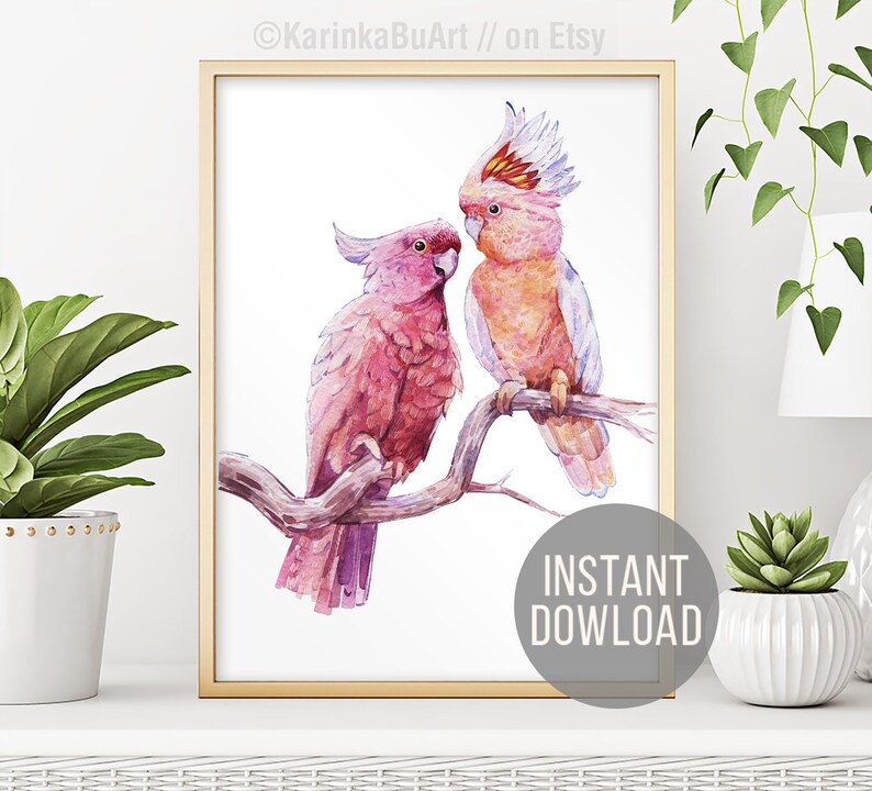 Watercolor Cockatoo Parrot clipart printable poster. Tropical Illustration Australian nature print. Bird illustration, bird poster, bird watercolor, classic watercolor, classical painting macaw tropical, Mother's Day, parrot painting