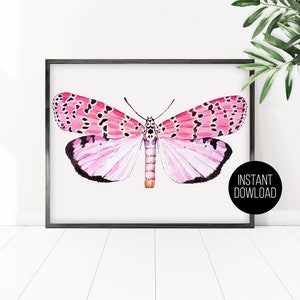 May include: A watercolor painting of a pink and black butterfly with white wings. The butterfly is centered in the image and has a white background.