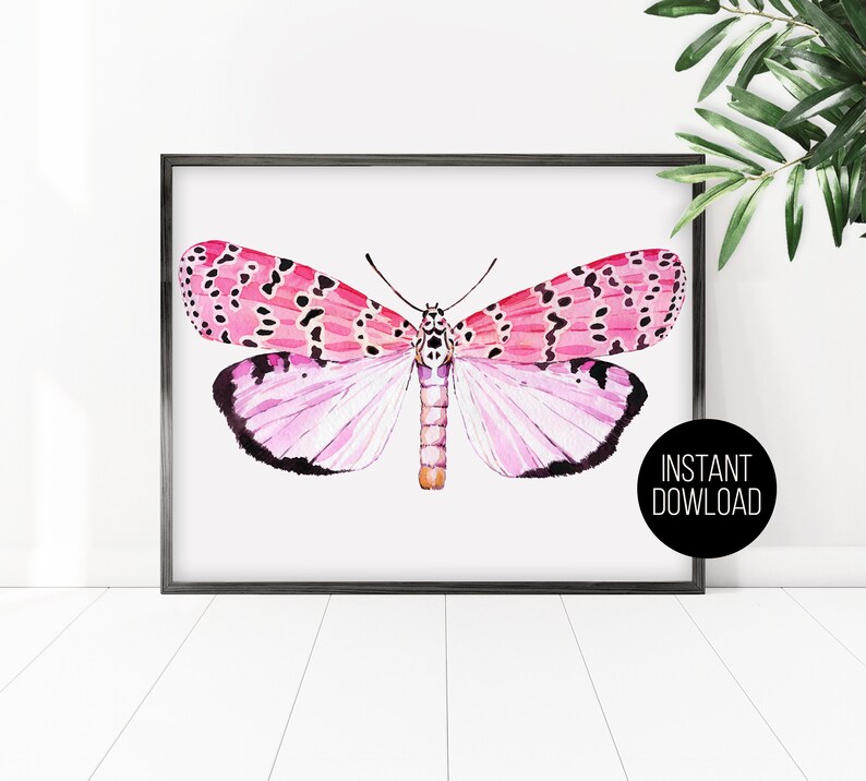 May include: A watercolor painting of a pink and black butterfly with white wings. The butterfly is centered in the image and has a white background.