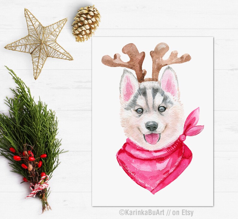 May include: Watercolor painting of a husky dog wearing a pink reindeer headband and a pink bandana. The dog is looking at the viewer with a happy expression.