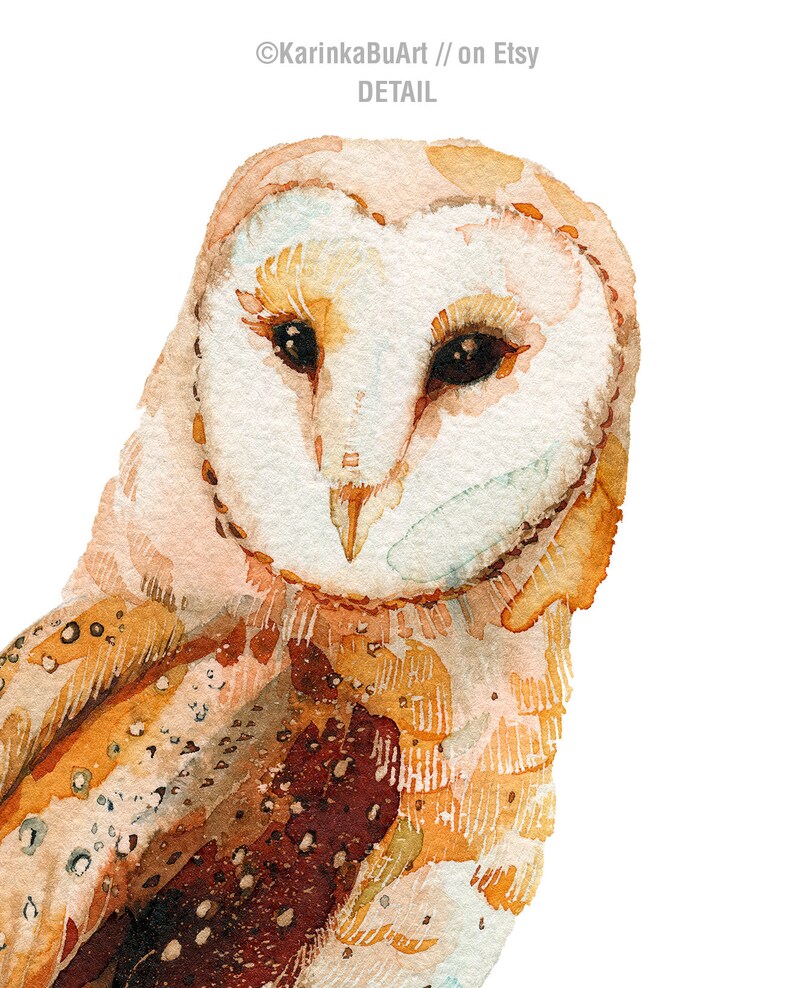 Scheune Eule Aquarell Malerei Eule Druck Illustration von - Etsy.de
