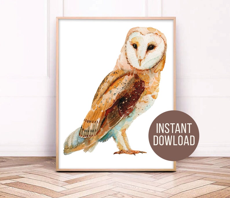 Barn Owl svg Boho clipart Watercolor Print Barn Owl painting Rustic kitchen poster Owl nursery decor poster image 1