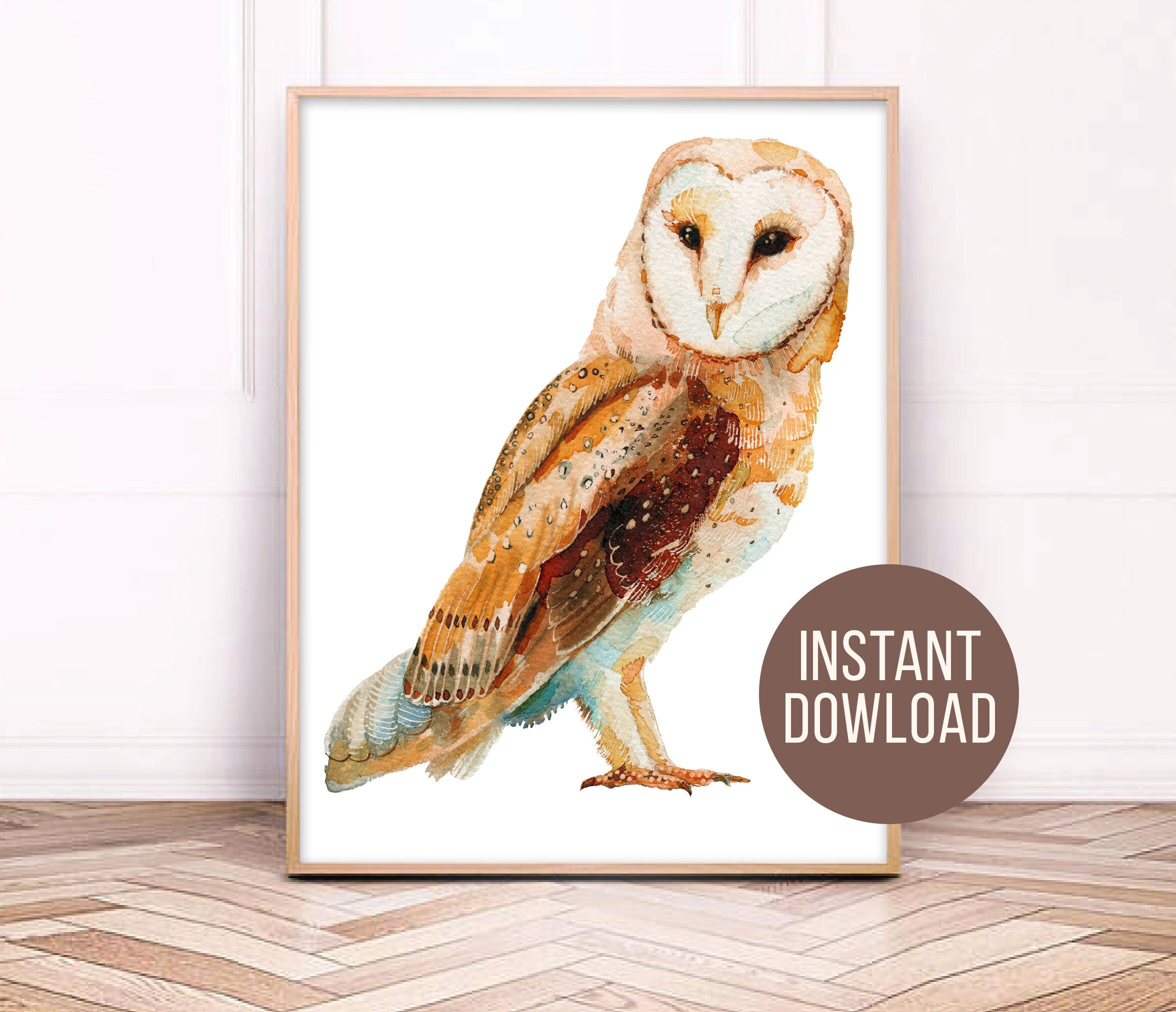 Download Barn Owl Svg Boho Clipart Watercolor Print Barn Owl Painting Etsy