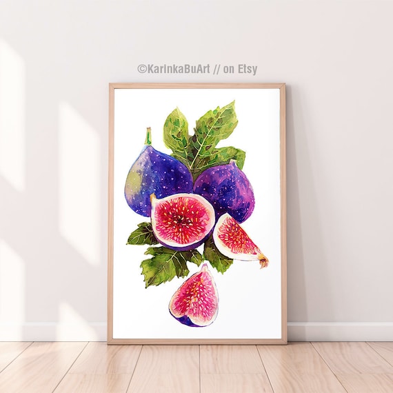 Watercolour Clip Art Figs printable wall art prints Poster Fig print Inspirational womens gift. Fig art print. Botanical print Kitchen decor