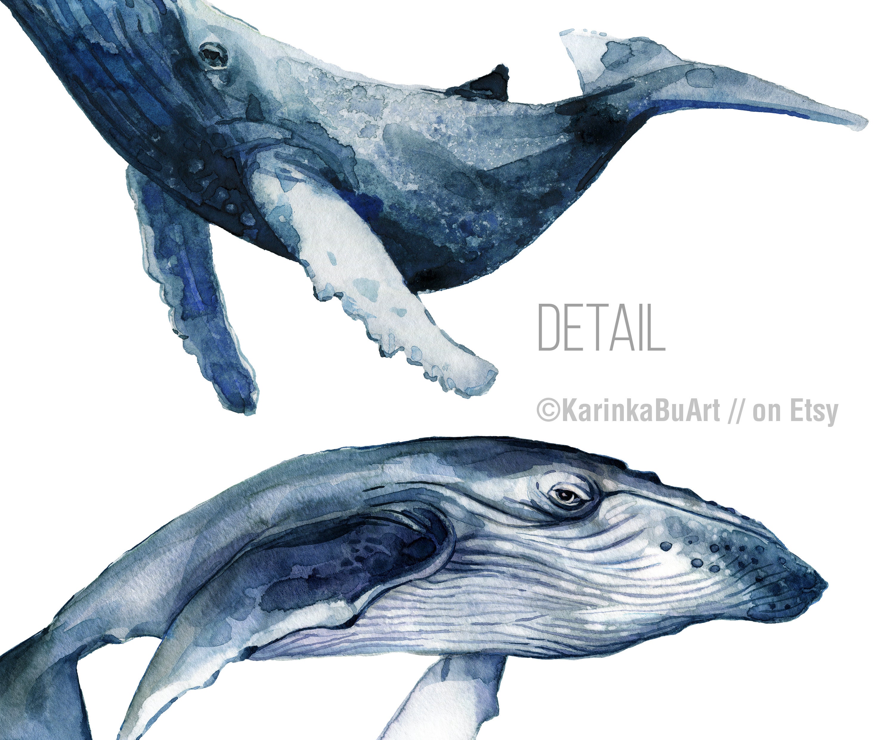 Humpback Whale Print Whale Stack Whale Print Whale Art Whale | Etsy