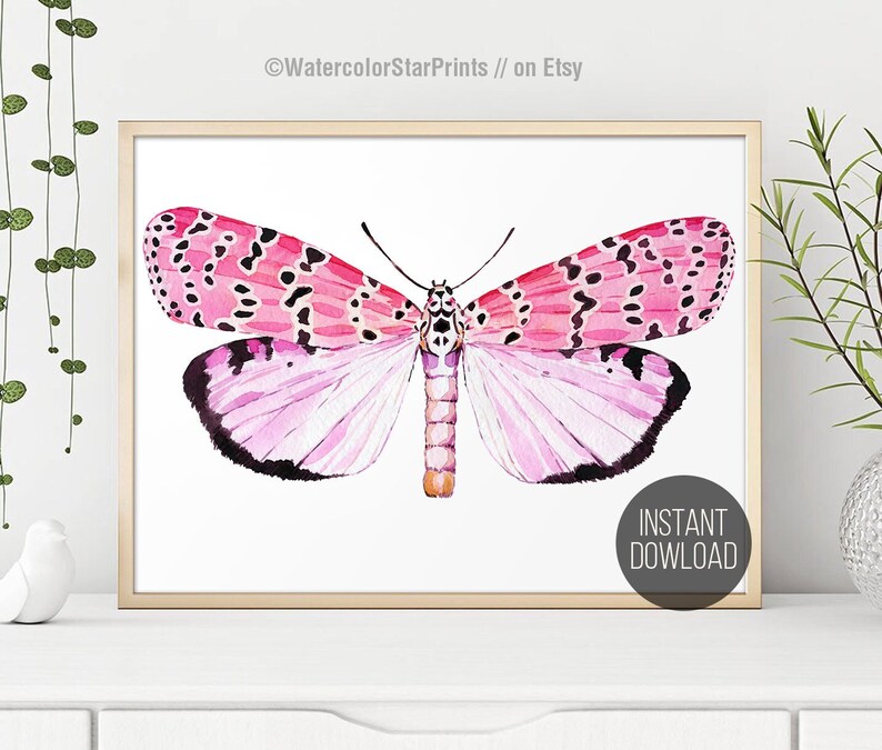May include: A watercolor painting of a pink and black butterfly with white spots. The butterfly is on a white background.