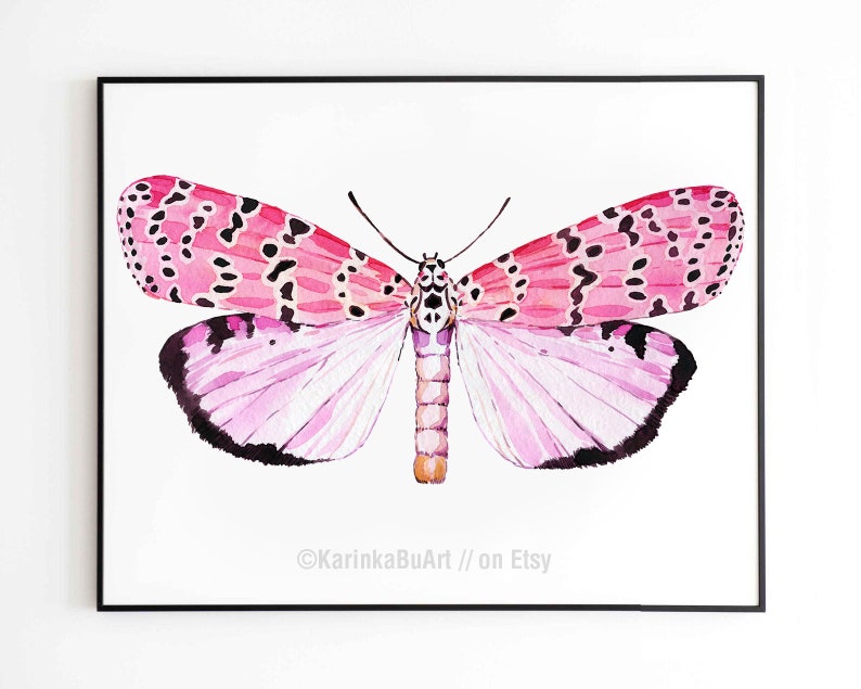 May include: Watercolor painting of a pink and black butterfly with intricate patterns on its wings. The butterfly is set against a white background.