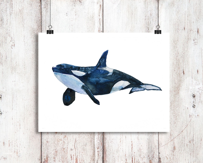Orca Painting Killer Whale Print Watercolor Print Poster Sea - Etsy UK