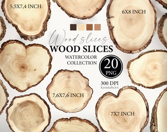 Watercolor illustration of Wood slices png Watercolor forest clipart bundle Wood burned Art prints Wooden sings cliparts