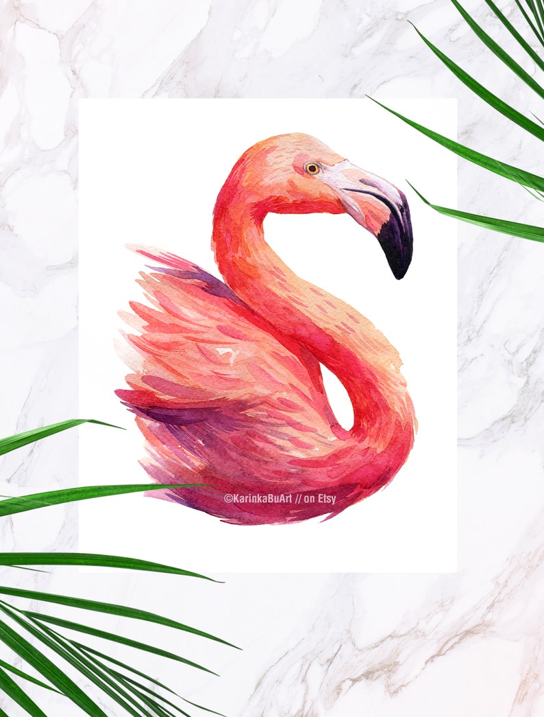 May include: A watercolor painting of a pink flamingo with a long neck and a black beak. The flamingo is standing on one leg and its head is turned to the side. The background is white.