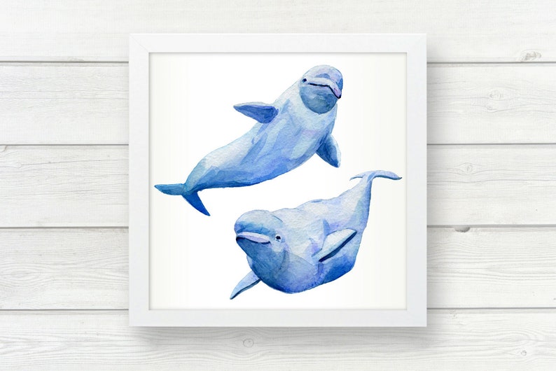 Beluga Whale stack Whale print Watercolor print Poster Wall decor painting. Sea art. Watercolor clipart Nautical decor White Whale image 9