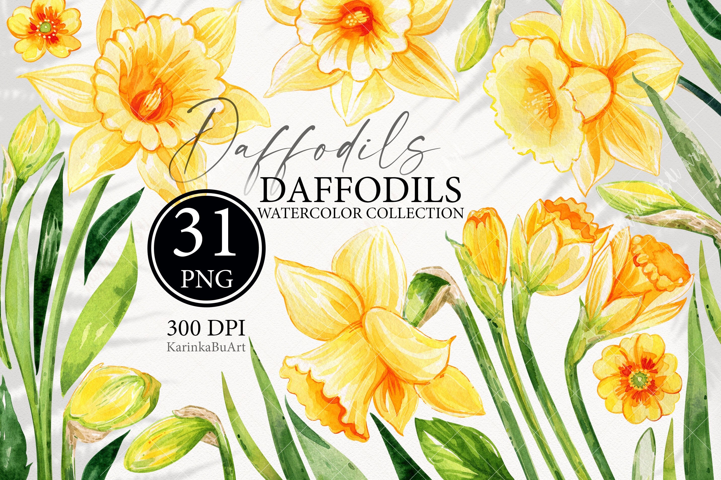 Watercolor Jonquils - Etsy
