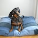 see more listings in the Dog Beds section