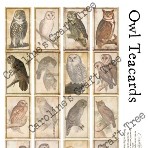 Kit de diario digital imprimible con tarjetas de té con forma de búho vintage falso, material efímero, diario, álbum de recortes, manualidades, adornos con técnica mixta