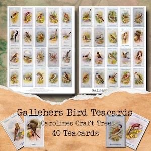 bird tea cards digital junk journal, download ephemera, journaling, scrapbooking, crafts, mixed media, embellishment, printable, vintage