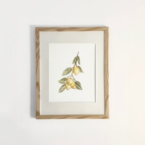 Lemon Branch, watercolor print