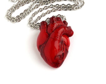 May include: A silver chain necklace with a red anatomical heart pendant.
