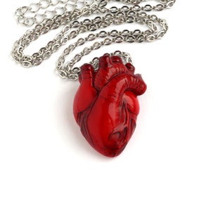 Anatomical Heart Necklace, Valentines Day Party Gift Idea, Medical Student Gift, Red Heart Clay Pendant with Stainless Steel Chain