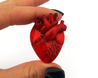 May include: A red anatomical heart pendant with detailed veins and arteries. The heart is made of polymer clay and is approximately 2 inches tall.