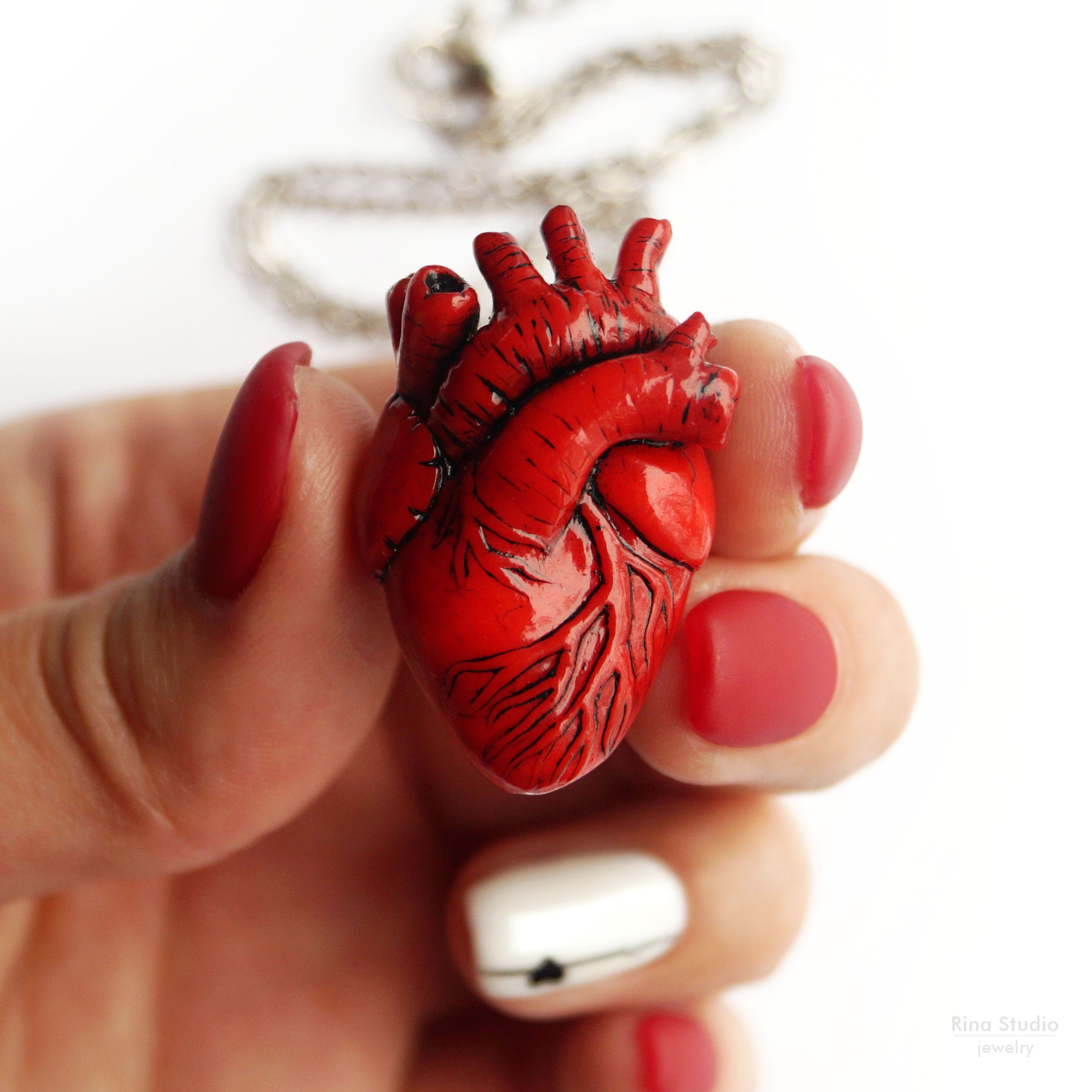 Collar anatómico del corazón regalo del estudiante de Etsy