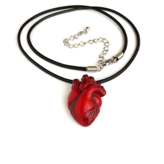 Anatomical Heart Necklace, Valentines Day Party Gift Idea, Medical