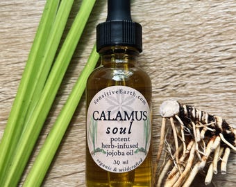 Calamus Jojoba Oil: Organic Herbal Anointing Serum for Nasya, Throat, & Body