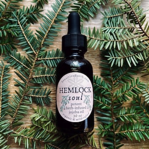 May include: A dark brown glass bottle with a dropper top and a white label that reads "sensitive Earth.com HEMLOCK soul potent herb-infused jojoba oil 30 ml organic & wildcrafted".