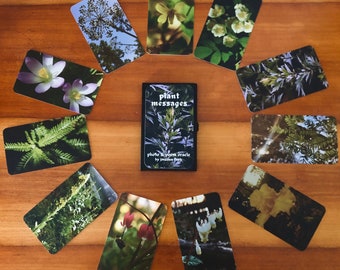 Plant Messages — Photo & Poem Pocket Oracle Cards