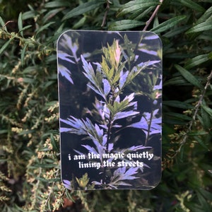 Mugwort Magick Sticker