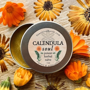 Potent Calendula Soul Salve - Organic, Local, Garden Grown