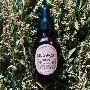 Potent Mugwort Jojoba Oil — For Face, Body, Hair, & Sensitive Skin — Organic Soul Oil — Herb Infused