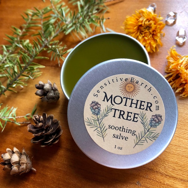 Mother Tree Soothing & Drawing Salve - Wildcrafted, Organic