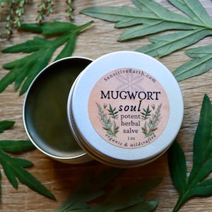Potent Mugwort Soul Salve