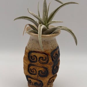 May include: A small, speckled ceramic vase with a flared rim and a textured, amber-colored body featuring dark, recessed spiral patterns. A single, spiky, light green air plant with long, pointed leaves sits inside the opening of the vase.