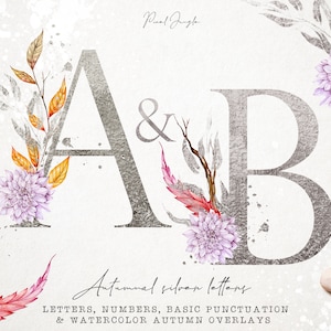 Silver monogram letters with watercolor elements, Autumn silver alphabet clipart, Silver letters clipart, Silver foil letter, Monogram, PNG
