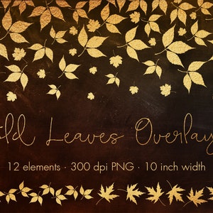 Bladgoud overlays, Gouden bladeren clipart, Herfst bladeren clip art, Herfst clipart, Gouden randen, Gouden clipart, Gouden overlays, Goudfolie