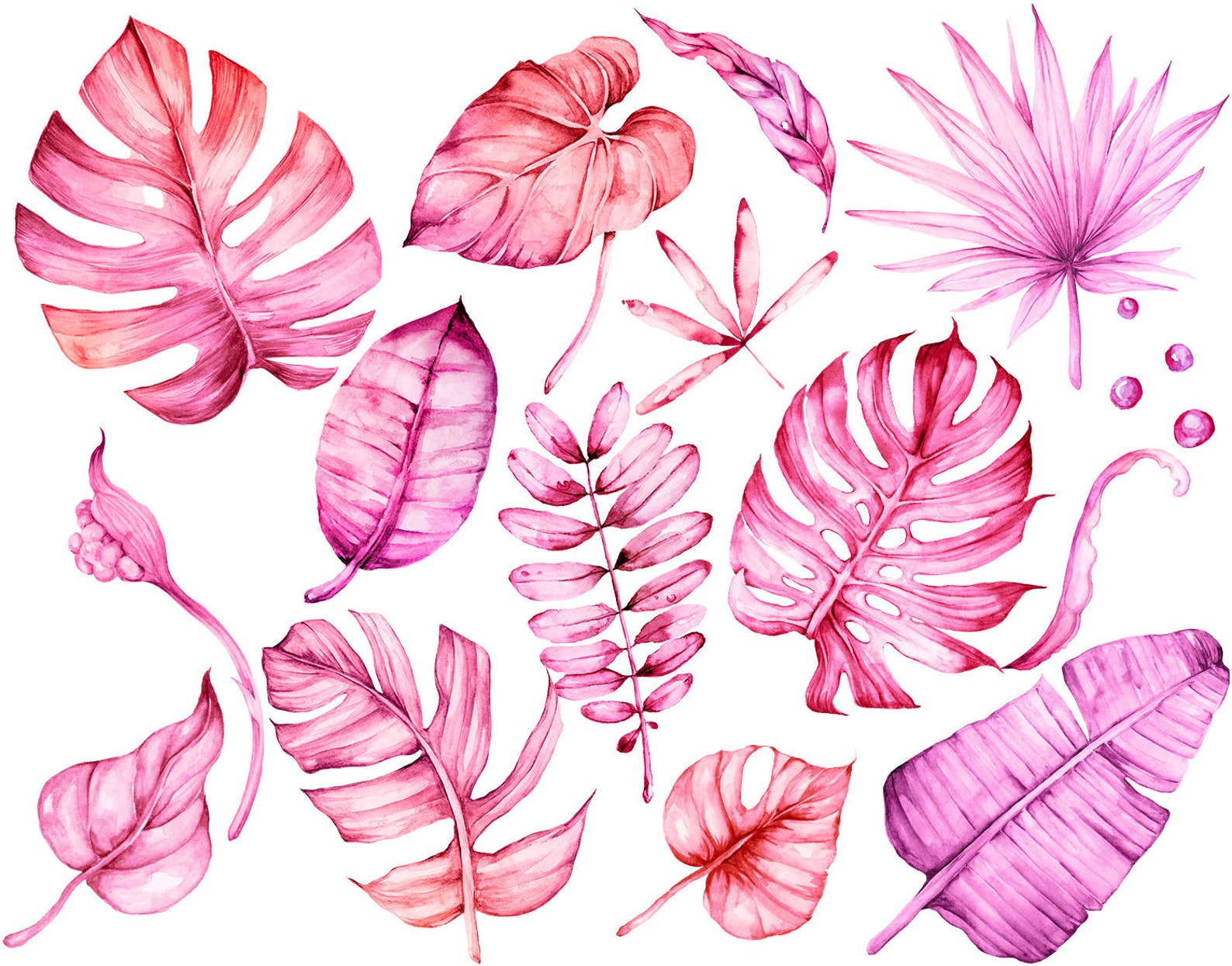 Pink Watercolor Tropical Leaves Clipart Hand Painted - Etsy