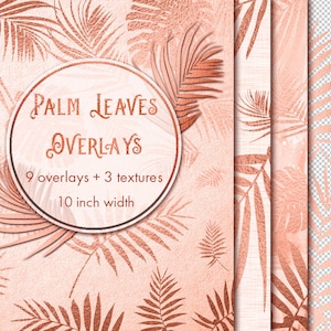 Rose gouden palm bladeren overlays, Rose goud blad clipart, Tropische overlays, Bloemen overlays, Rose gouden clipart, Rose gouden achtergrond