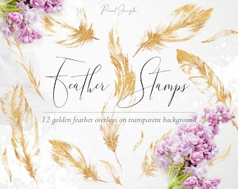 Imágenes prediseñadas de plumas doradas brillantes: superposiciones de plumas de pájaro (descarga digital PNG)