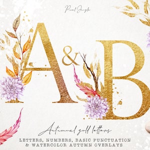 Letras de oro con elementos de acuarela, clipart de alfabeto de oro de otoño, clipart de letras de oro, letra de lámina de oro, monograma, alfabeto floral, PNG