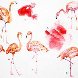 Puede incluir: Pintura de acuarela de ocho flamencos rosas en varias poses. Los flamencos est&aacute;n pintados en tonos de rosa, naranja y blanco. El fondo es de color beige claro con salpicaduras de acuarela roja.