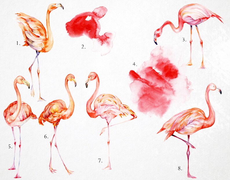 Puede incluir: Pintura de acuarela de ocho flamencos rosas en varias poses. Los flamencos est&aacute;n pintados en tonos de rosa, naranja y blanco. El fondo es de color beige claro con salpicaduras de acuarela roja.