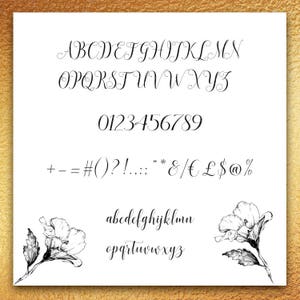 May include: A black and white image of a handwritten font alphabet, numbers, and punctuation marks. The font is cursive and elegant. The image also includes two black and white drawings of flowers.