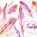 Pink Feathers With Gold, Hand Painted Watercolor Feathers Clipart, Gold ...