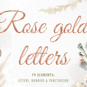 Roségouden letters clipart, Roségouden alfabet, Vloeibaar lettertype clip art, Rosé goudfolie alfabet, Letter overlays, Decoratieve belettering, PNG
